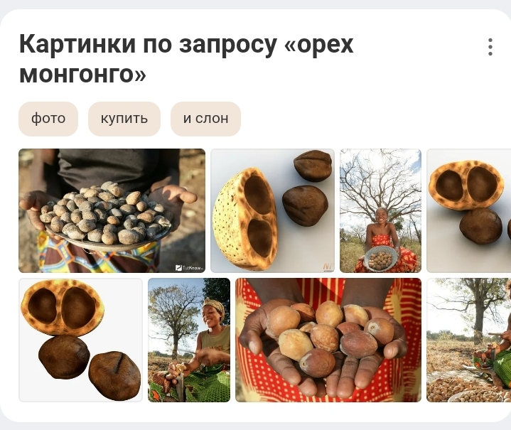 Screenshot_20211012-164715_Yandex.jpg