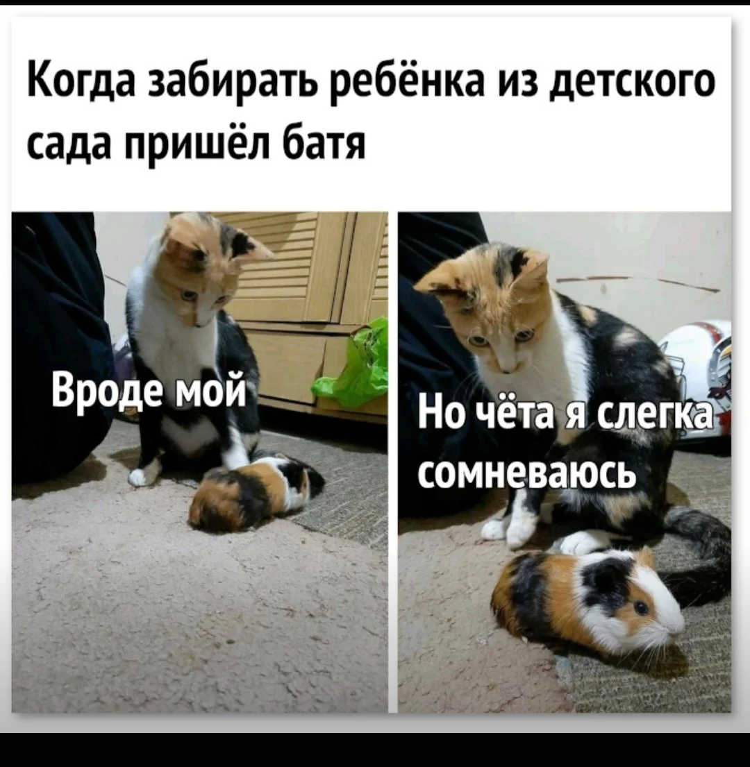 Screenshot_20211112-011446_Samsung Internet.webp