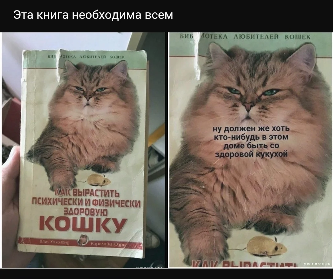 Screenshot_20211112-011602_Samsung Internet.webp