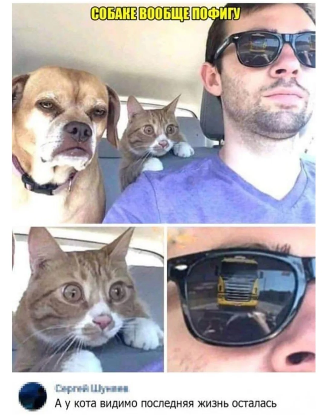 Screenshot_20211221-020010_Samsung Internet.webp