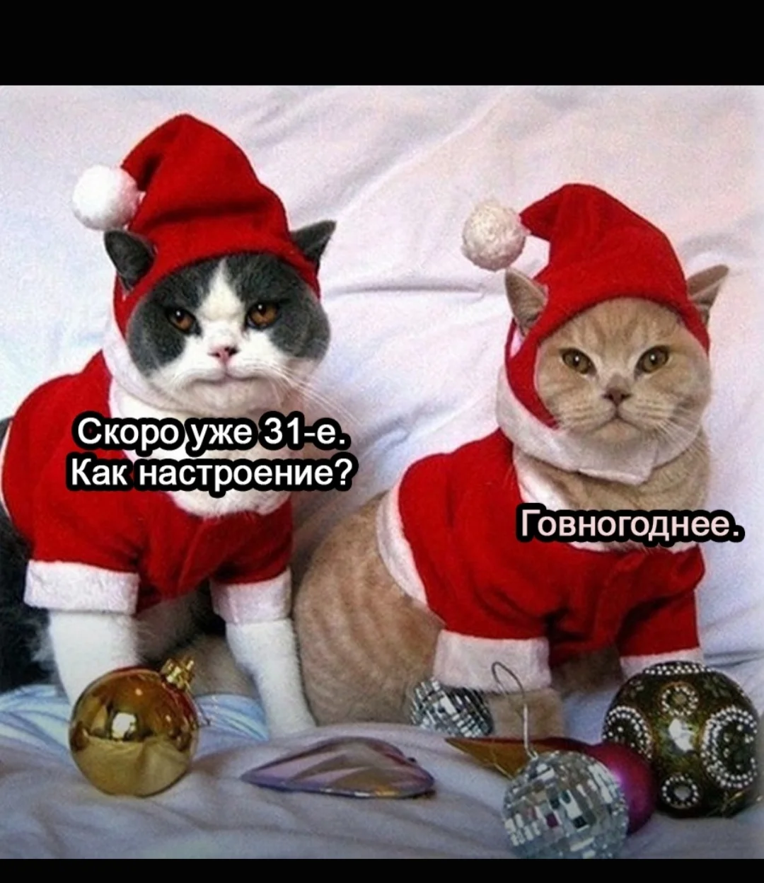 Screenshot_20211228-021149_Samsung Internet.webp