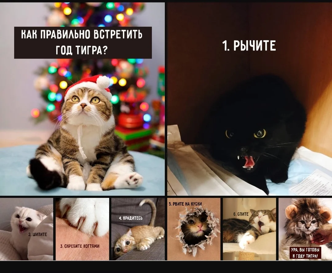 Screenshot_20211228-022242_Samsung Internet.webp