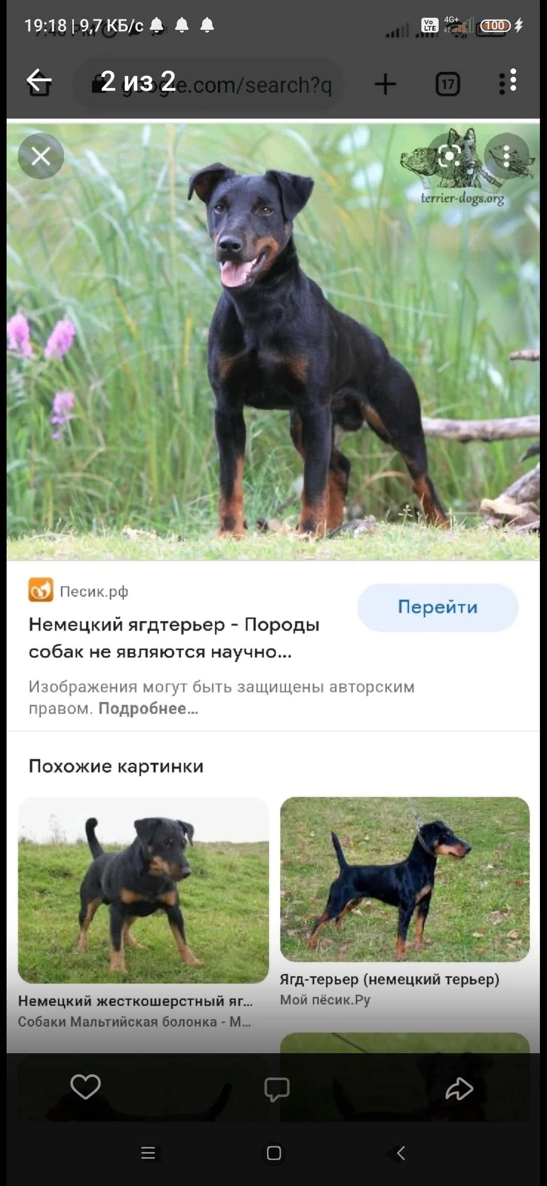 Screenshot_2022-07-24-19-18-02-787_com.vkontakte.android.webp