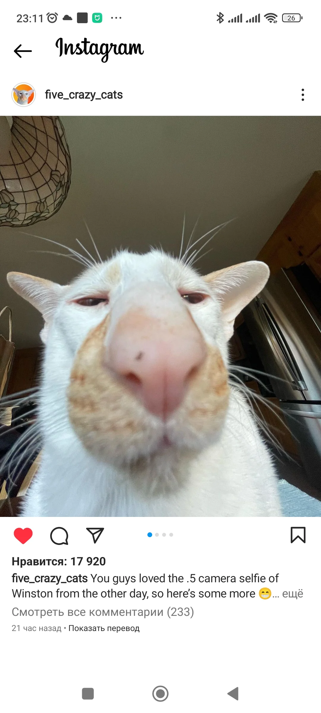 Screenshot_2022-11-16-23-11-02-153_com.instagram.android.webp