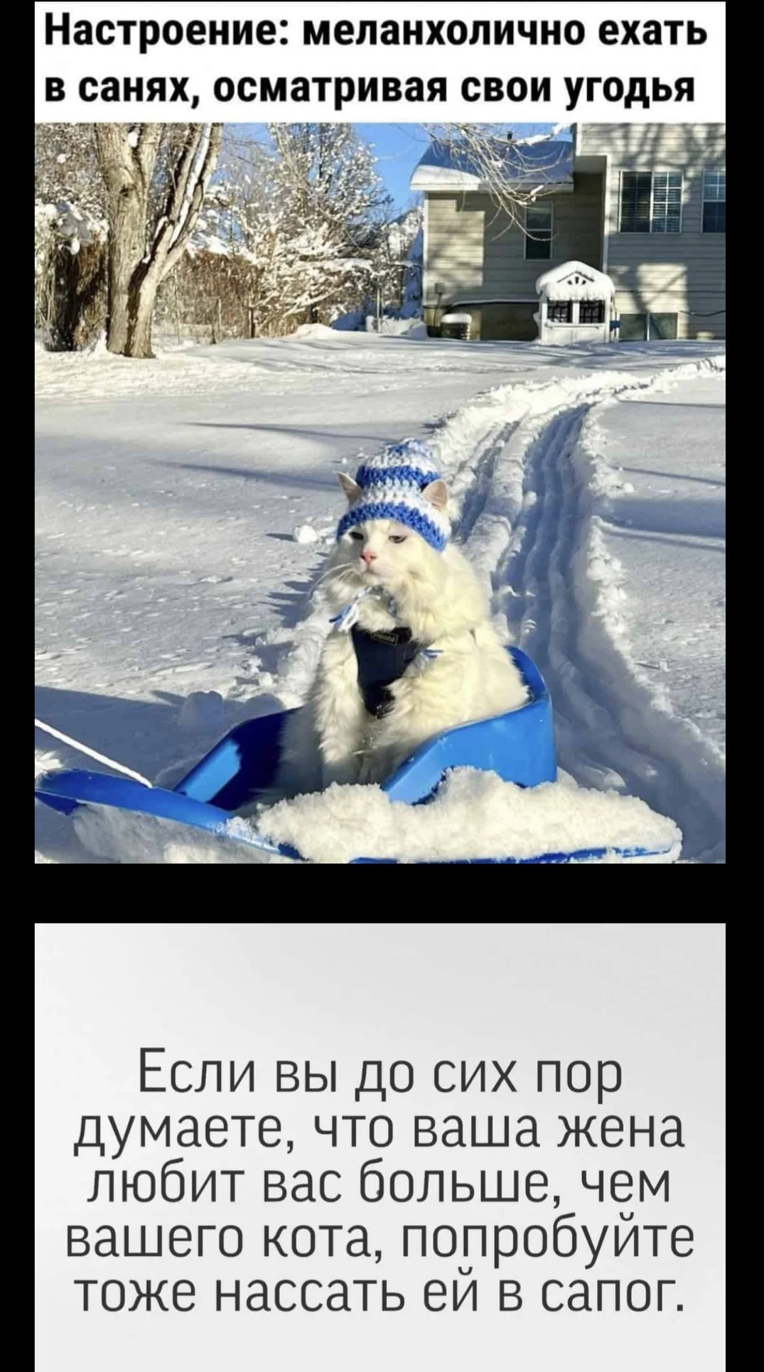 Screenshot_20220109-115024_Samsung Internet.webp