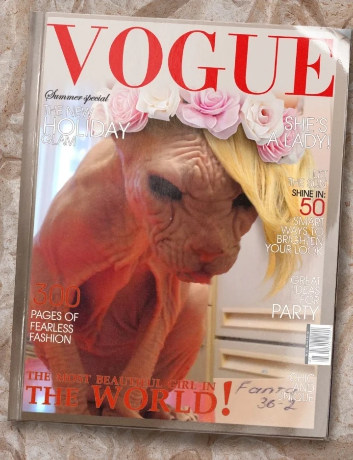 Screenshot_20220201-102319_Photo Lab.webp