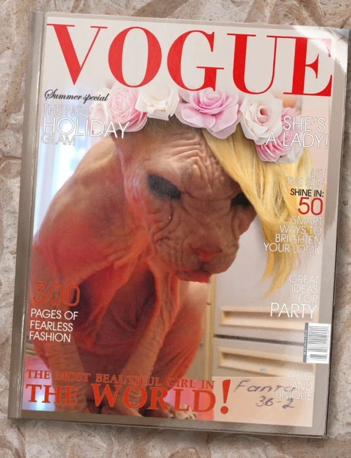 Screenshot_20220201-102319_Photo Lab.webp