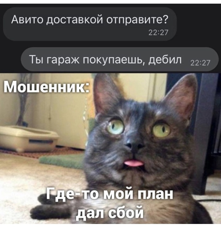 Screenshot_20220201-113642_VK.jpg