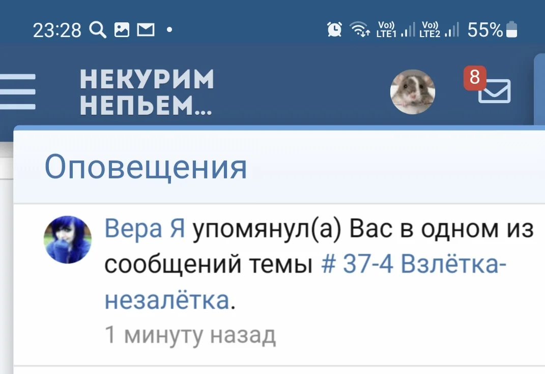 Screenshot_20220206-232835_Samsung Internet.webp