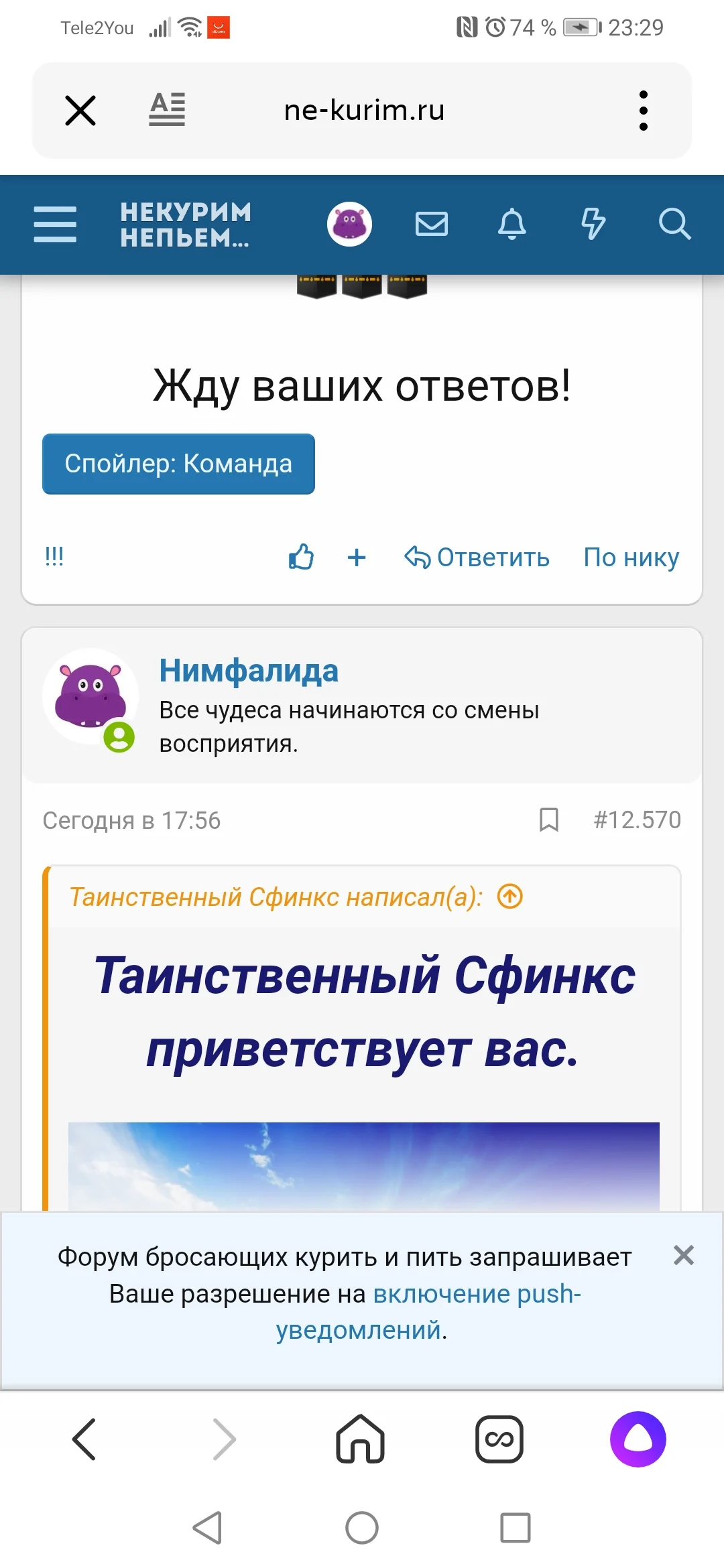 Screenshot_20220216_232940_ru.yandex.searchplugin.webp
