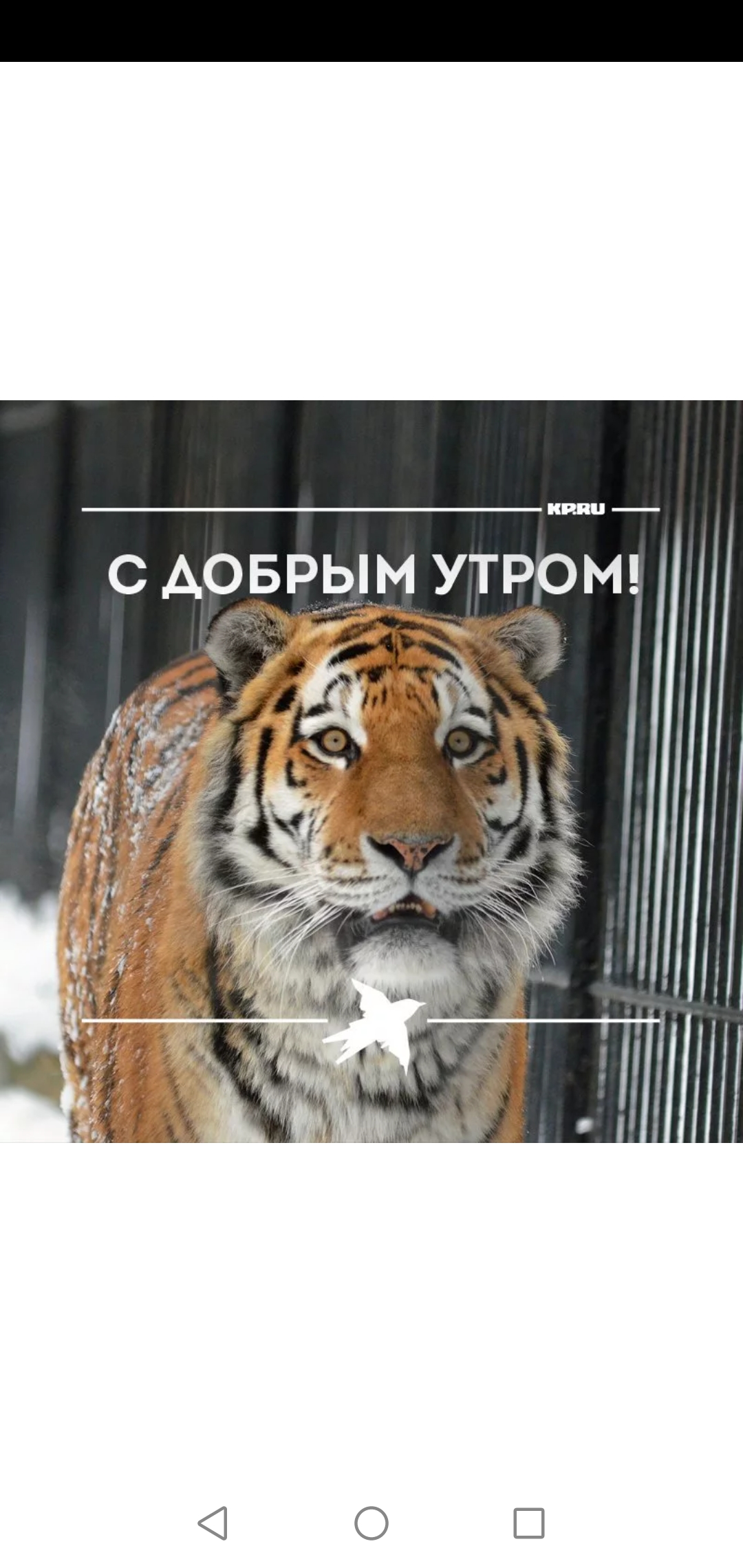 Screenshot_20220222_083755_ru.yandex.searchplugin.jpg