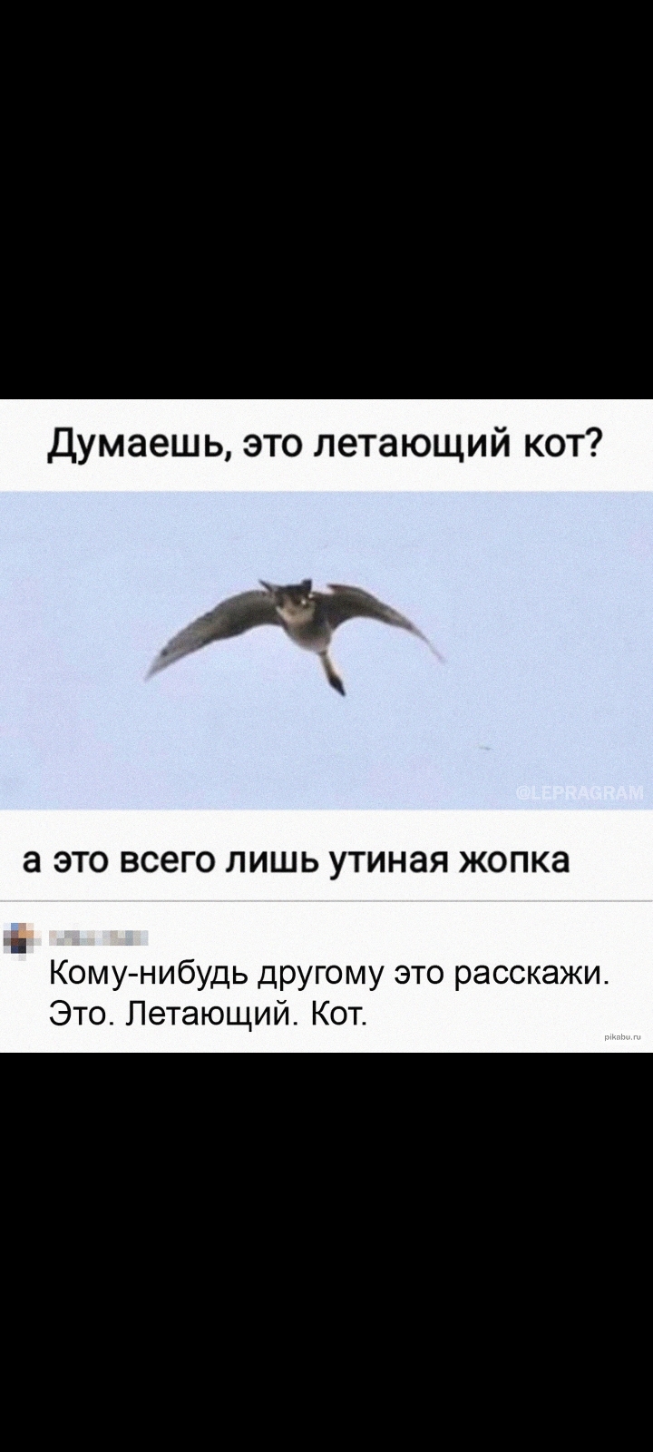 Screenshot_20220410-171148_VK.jpg