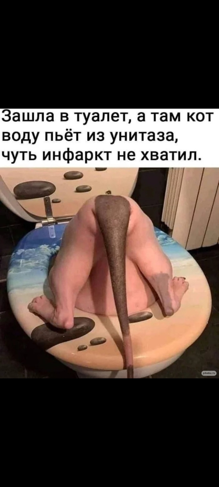 Screenshot_20220422-141459_VK.jpg