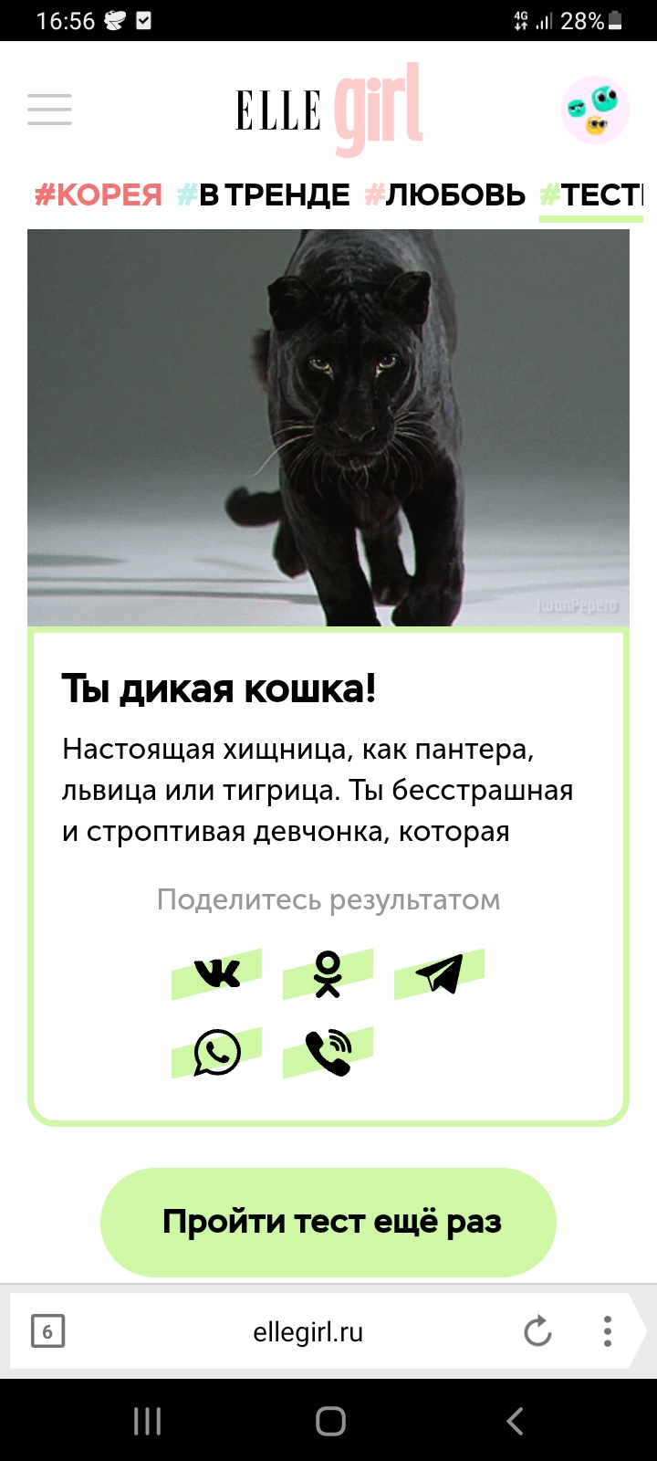 Screenshot_20220524-165636_Yandex Browser.jpg