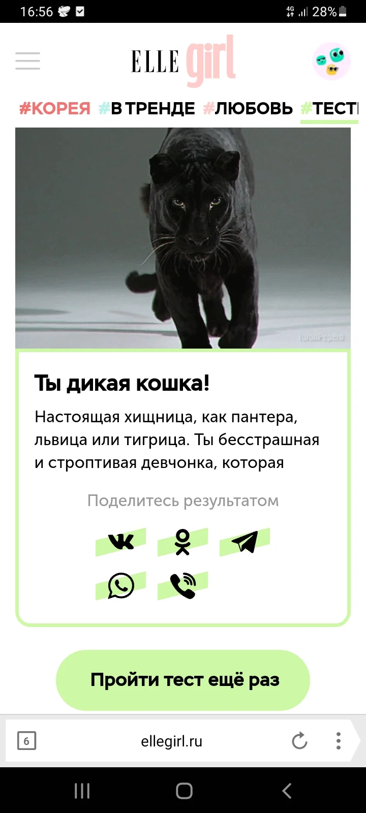 Screenshot_20220524-165636_Yandex Browser.webp