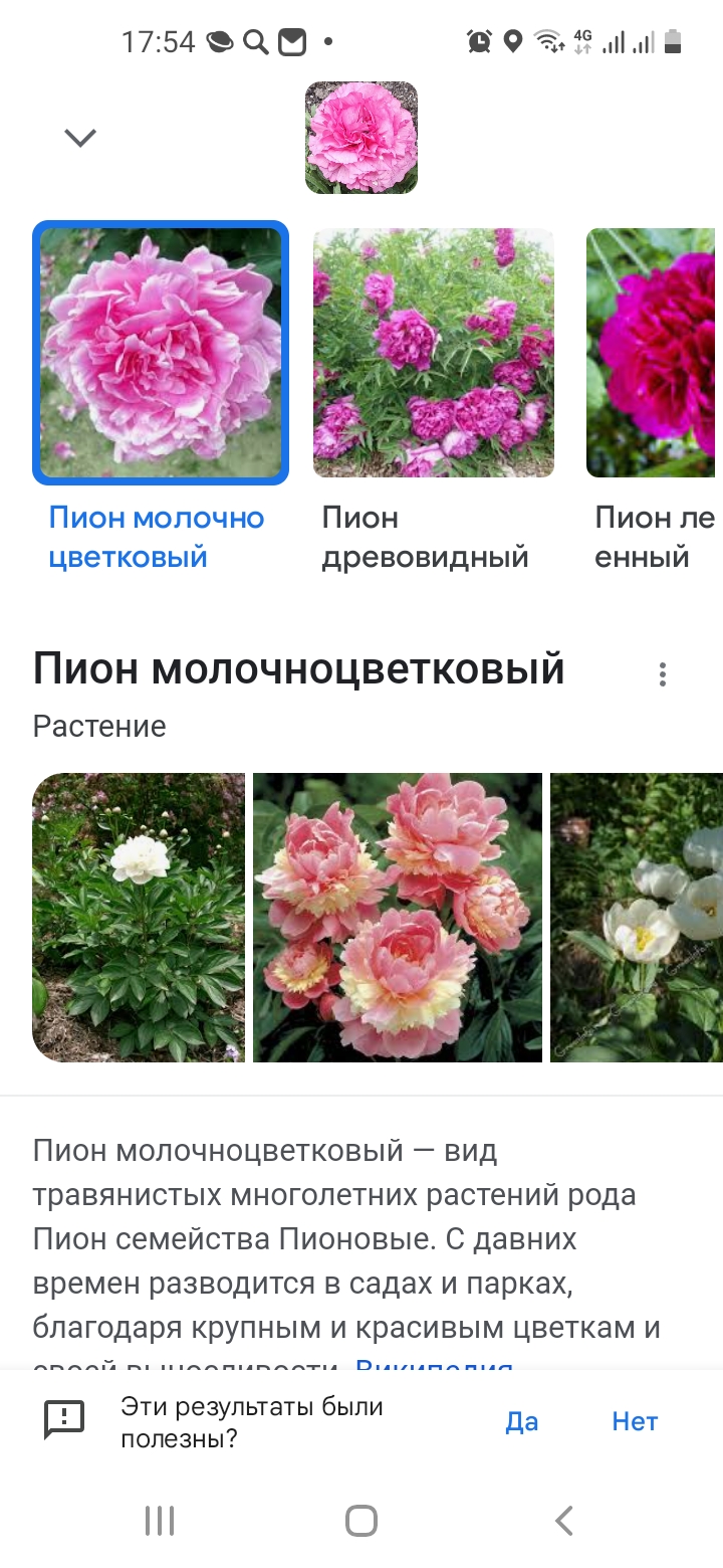 Screenshot_20220530-175439_Google.jpg