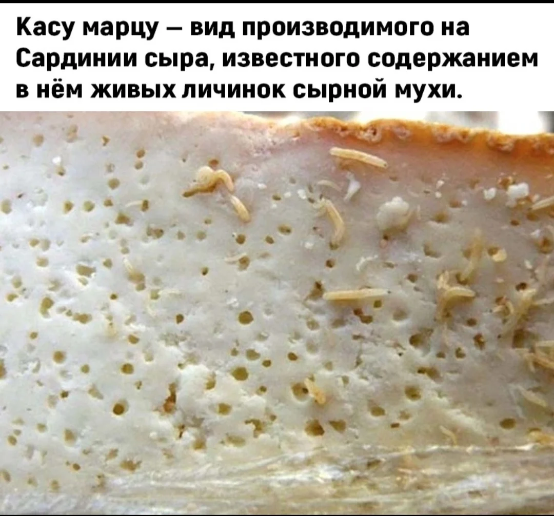 Screenshot_20220710-234733_VK.webp