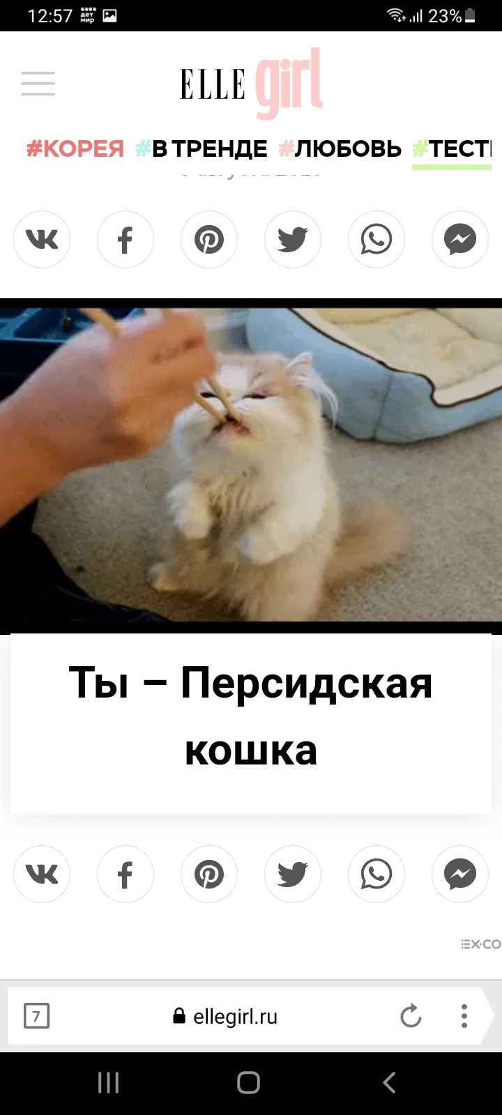 Screenshot_20220712-125717_Yandex Browser.webp