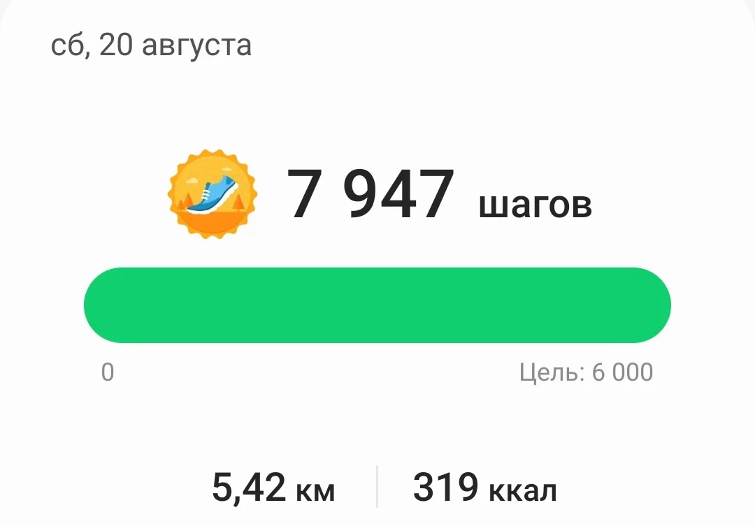 Screenshot_20220822-204258_Samsung Health.jpg