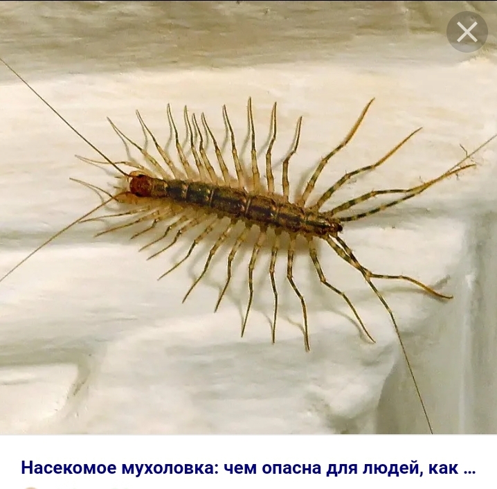 Screenshot_20220828-124713_Yandex Browser.jpg