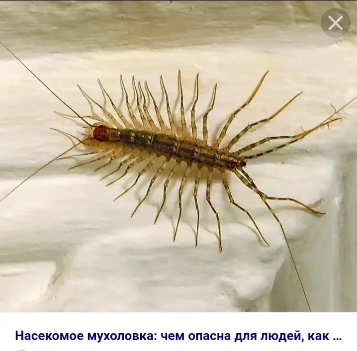 Screenshot_20220828-124713_Yandex Browser.webp