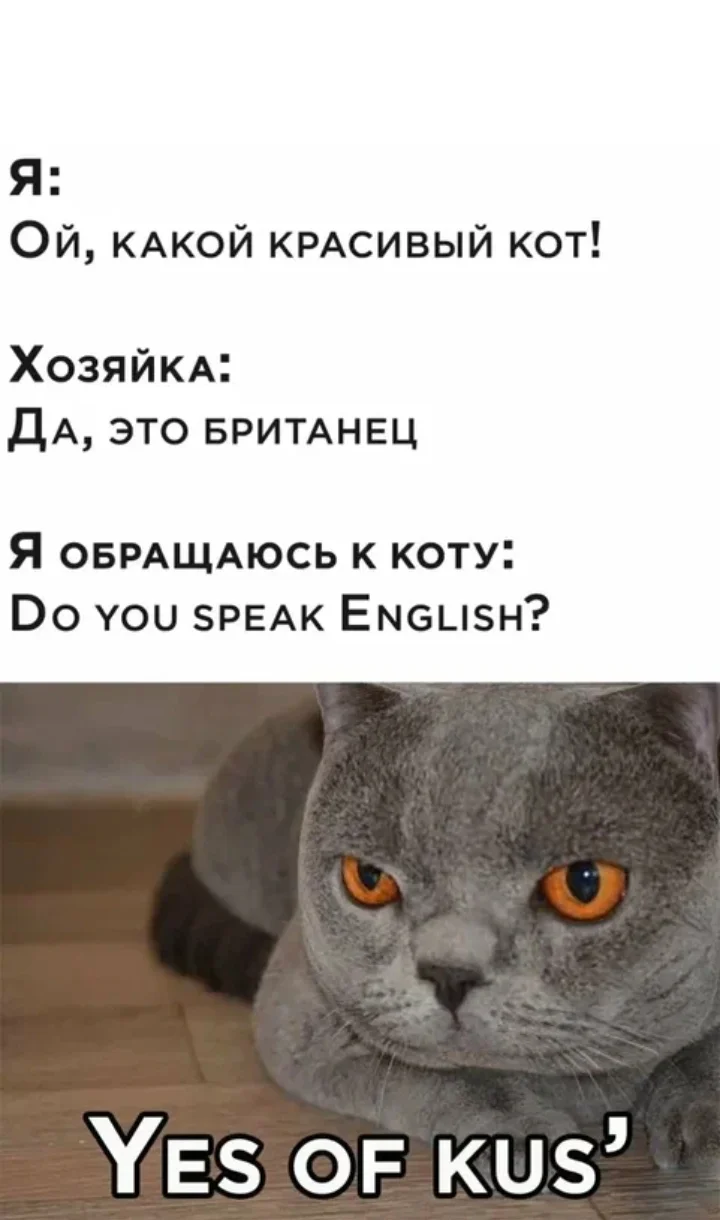 Screenshot_20220919-133614_Yandex Browser.webp