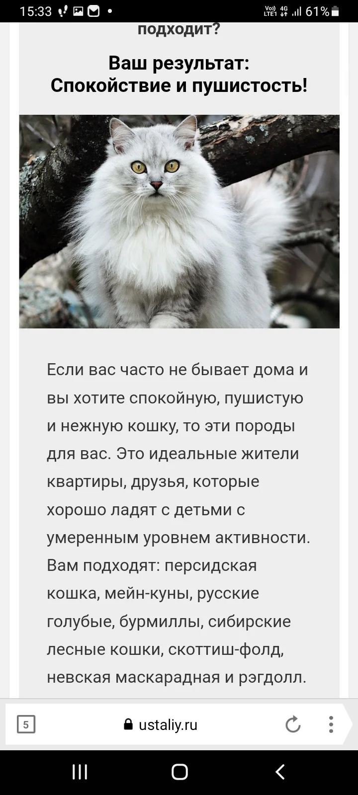 Screenshot_20220928-153304_Yandex Browser.webp