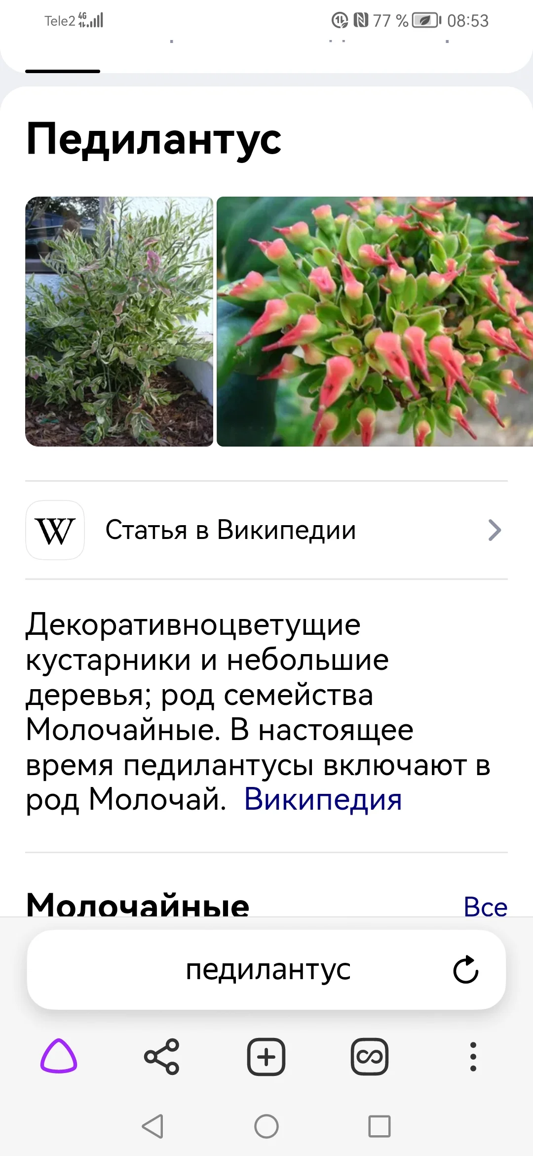 Screenshot_20221011_085301_com.yandex.browser.webp
