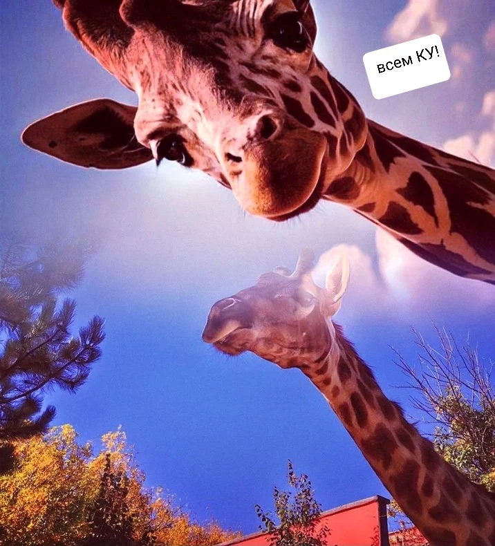 Screenshot_20221022-082519_Photo Lab.webp