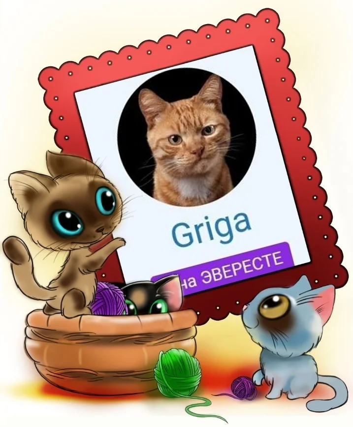 Screenshot_20221119-133852_Photo Lab.webp