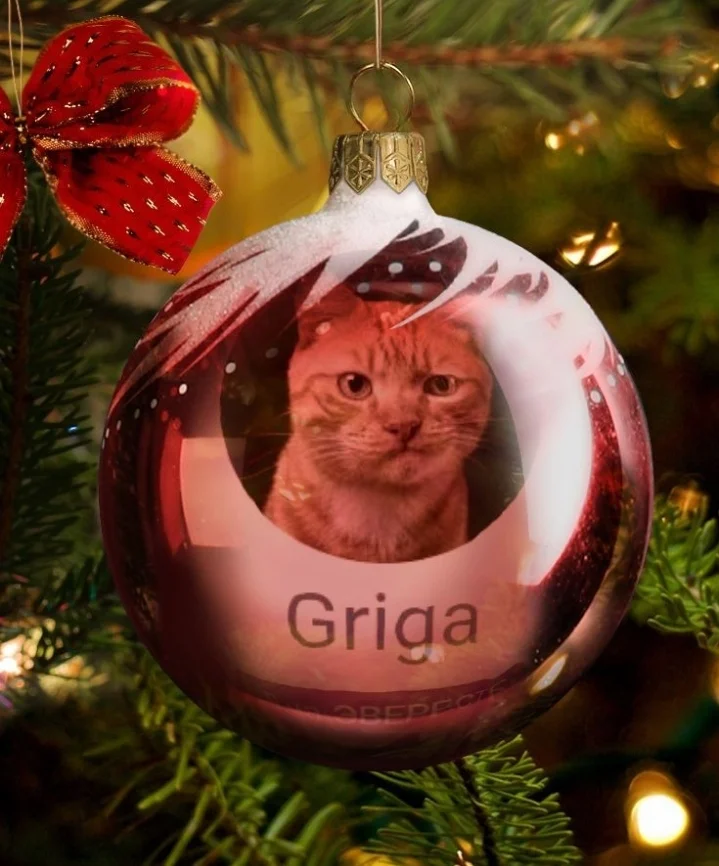 Screenshot_20221119-134230_Photo Lab.webp