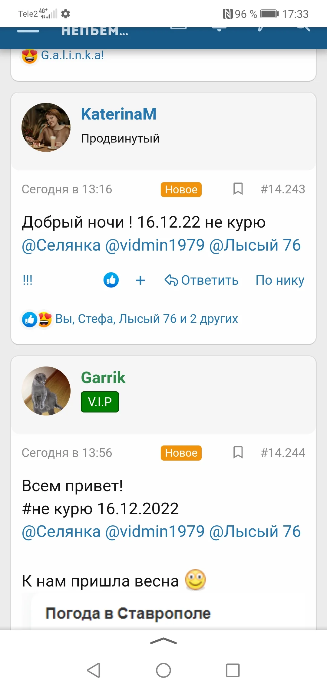 Screenshot_20221216_173323_ru.yandex.searchplugin.webp