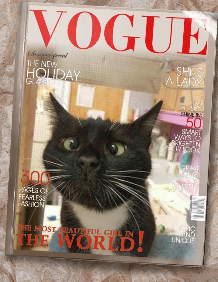 Screenshot_20221218-181453_Photo Lab.webp