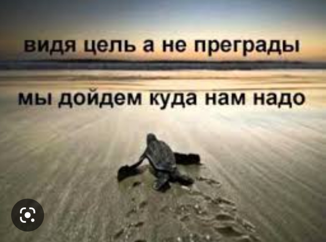 Screenshot_20221219-201358_Google.jpg