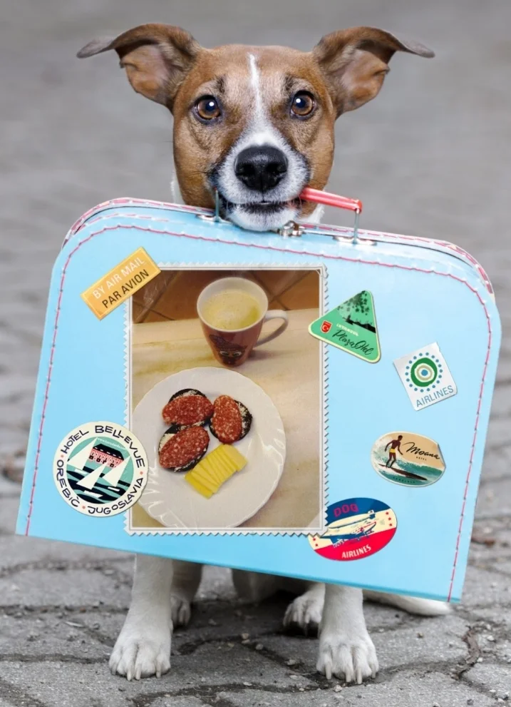 Screenshot_20221226-103821_Photo Lab.webp