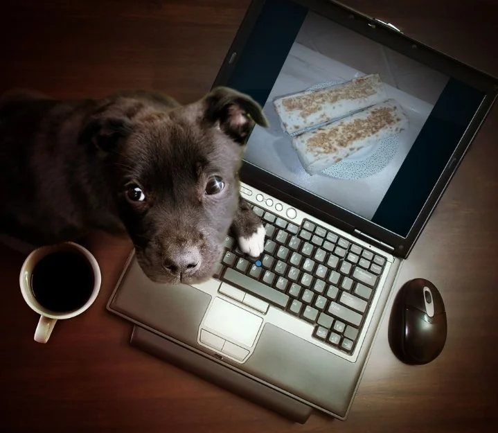 Screenshot_20221227-195632_Photo Lab.webp