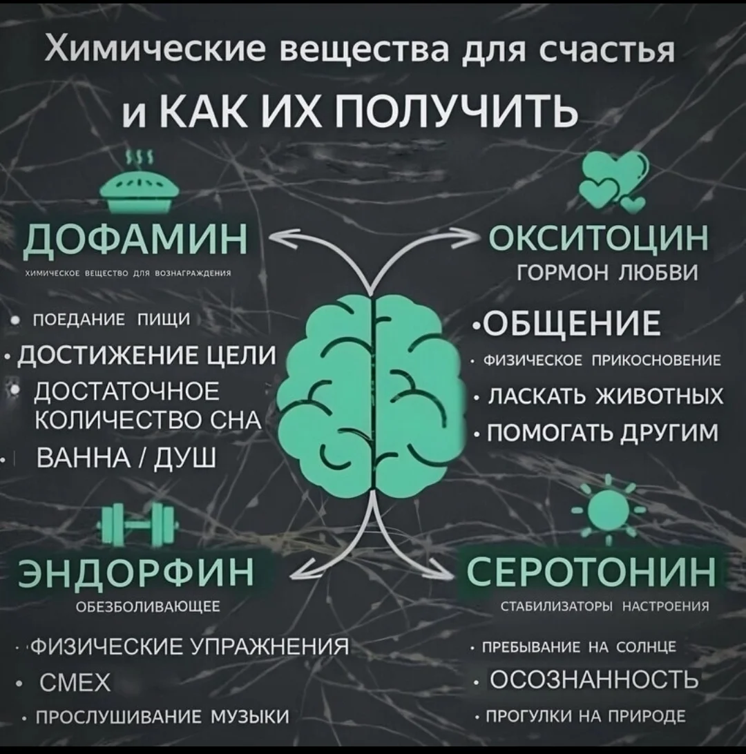 Screenshot_2023-06-07-20-08-20-561_com.vkontakte.android-edit.webp
