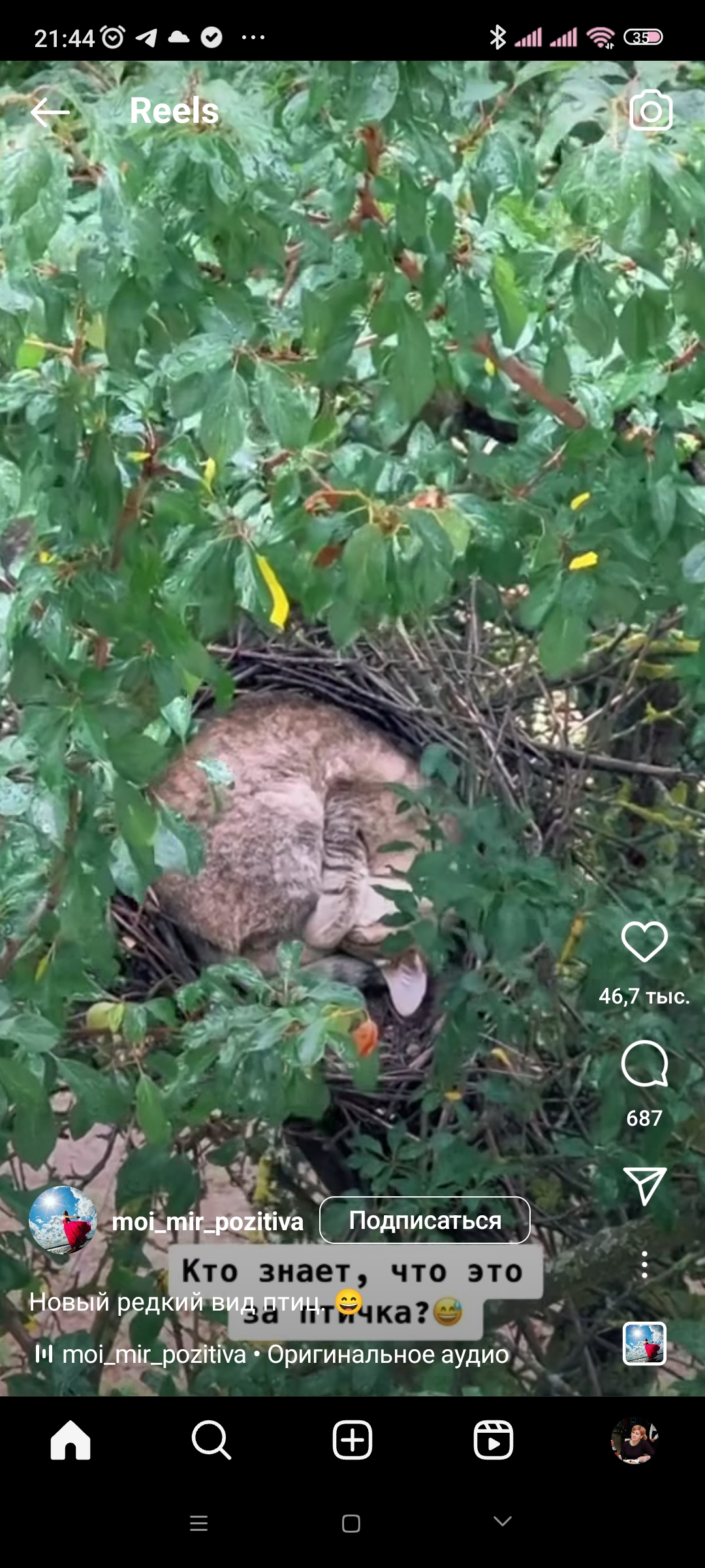 Screenshot_2023-07-07-21-44-47-570_com.instagram.android.jpg