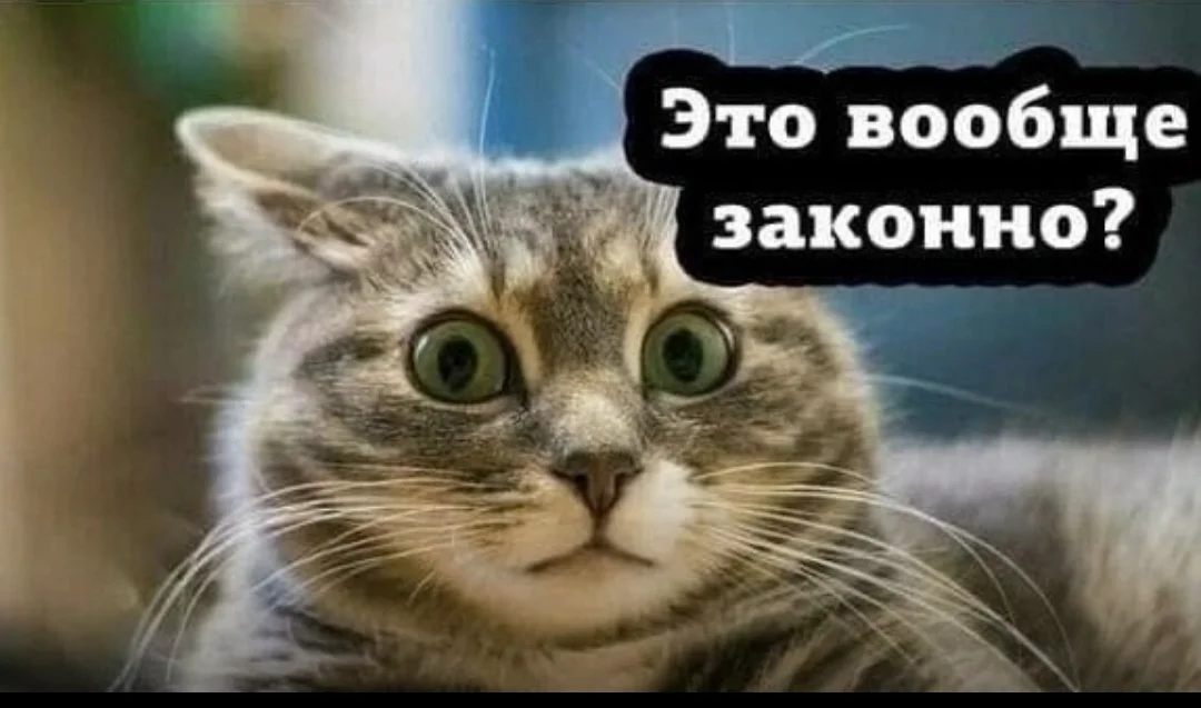 Screenshot_2023-08-31-17-39-12-891_com.vkontakte.android-edit.webp