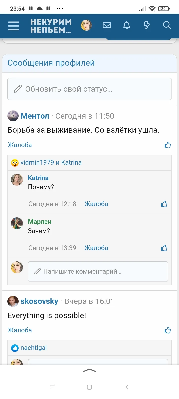 Screenshot_2023-10-18-23-54-06-797_ru.yandex.searchplugin.webp