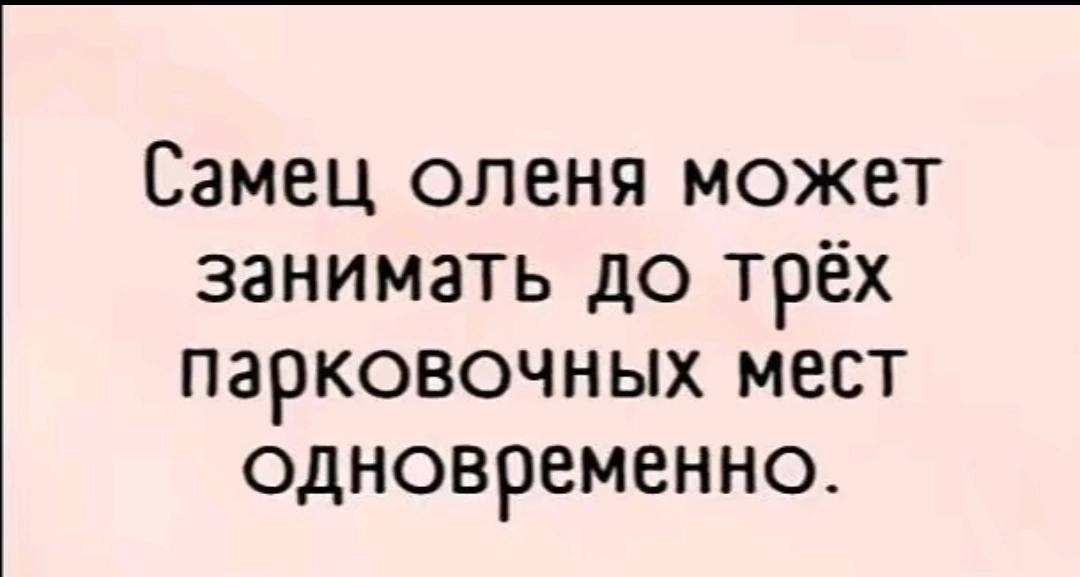 Screenshot_2023-10-20-20-17-33-801_com.vkontakte.android-edit.jpg