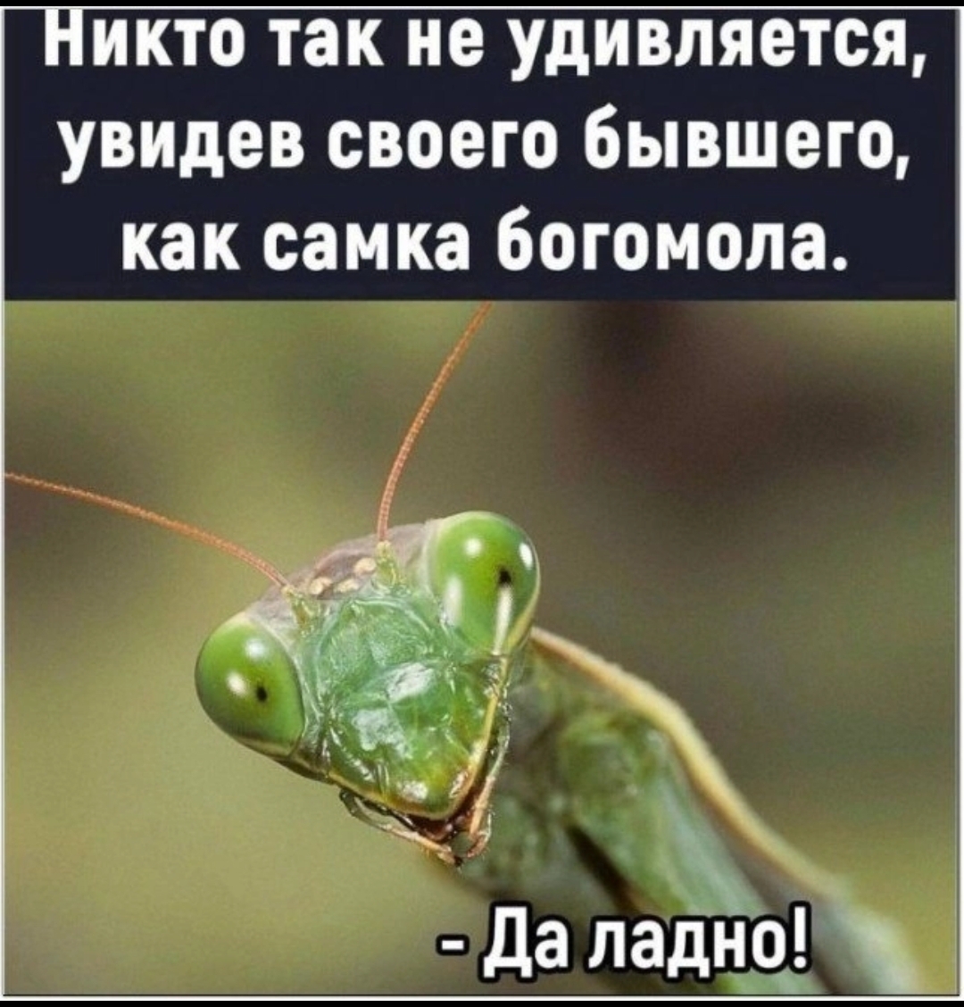 Screenshot_2023-10-21-10-22-43-614_com.vkontakte.android-edit.jpg