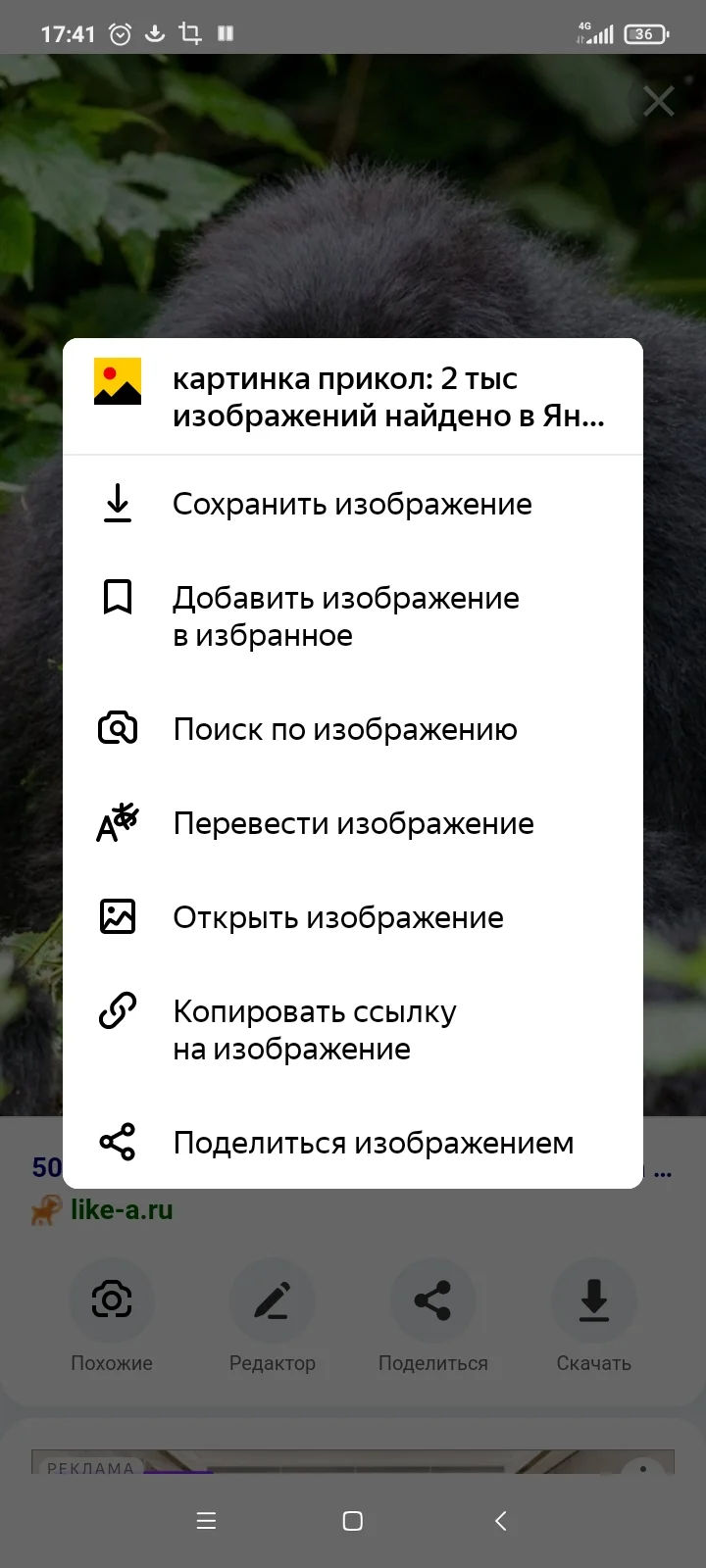 Screenshot_2023-10-22-17-41-28-216_ru.yandex.searchplugin.webp