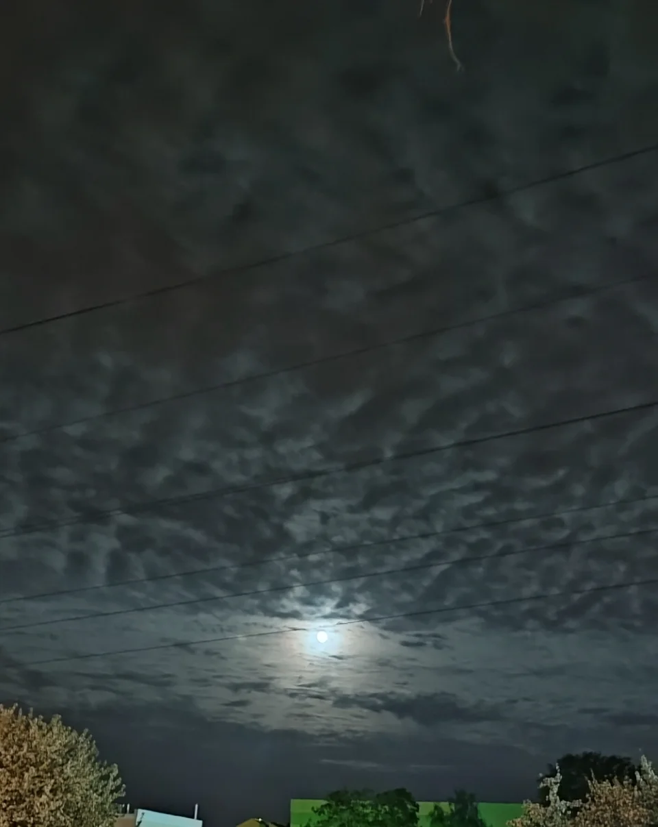 screenshot_2023-11-22-03-42-39-622_com-miui-gallery-edit-webp.2225185