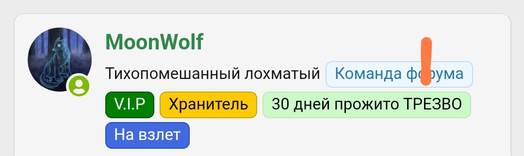 Screenshot_2023-12-06-13-03-19-242_com.yandex.browser-edit.jpg