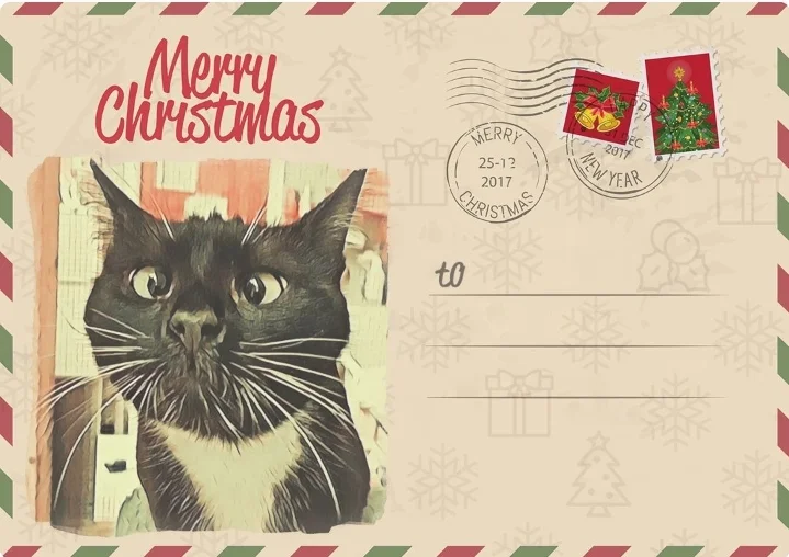 Screenshot_20230102-204837_Photo Lab.webp