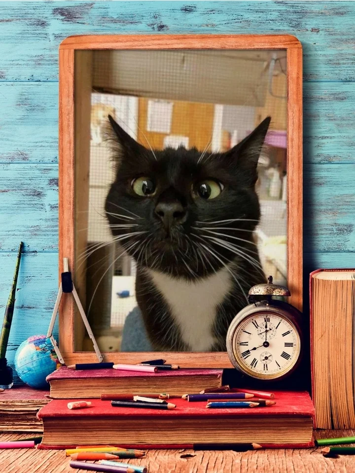 Screenshot_20230102-205039_Photo Lab.webp