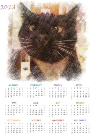 Screenshot_20230102-205411_Photo Lab.webp