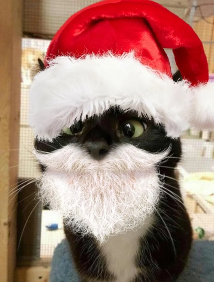 Screenshot_20230103-133536_Photo Lab.webp