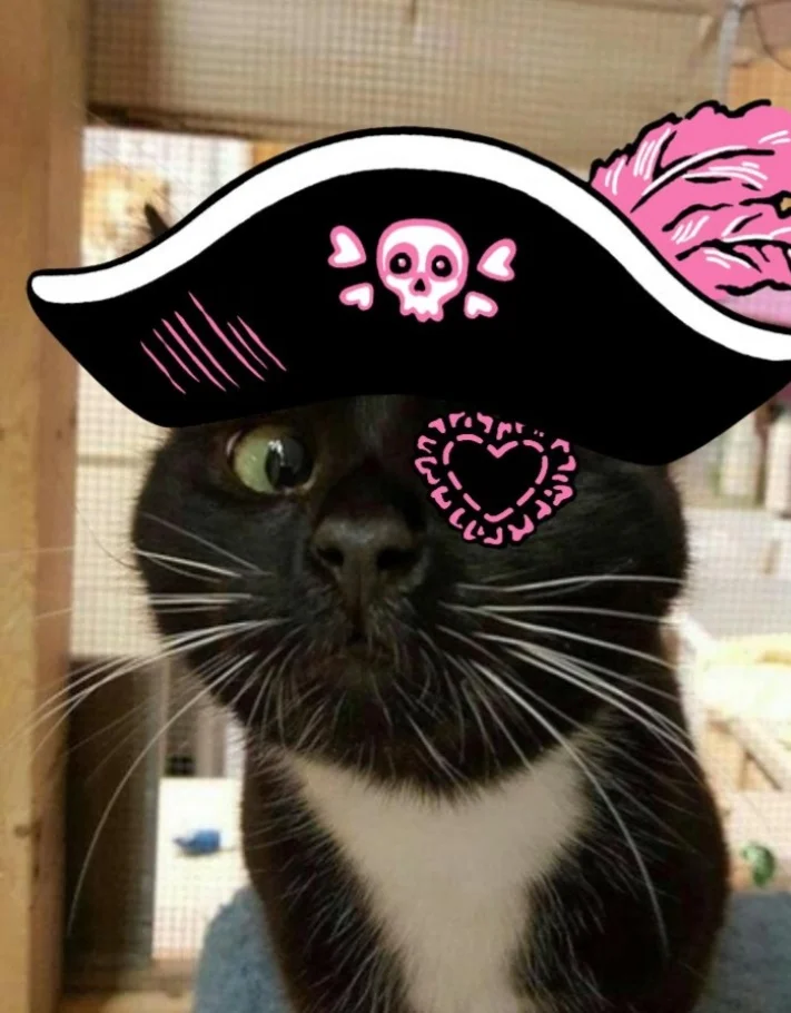 Screenshot_20230108-184816_Photo Lab.webp